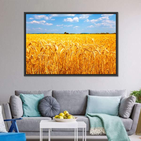 Wheat Ready For Harvest Canvas Wall Art-3 Horizontal-Gallery Wrap-25" x 16"-Tiaracle