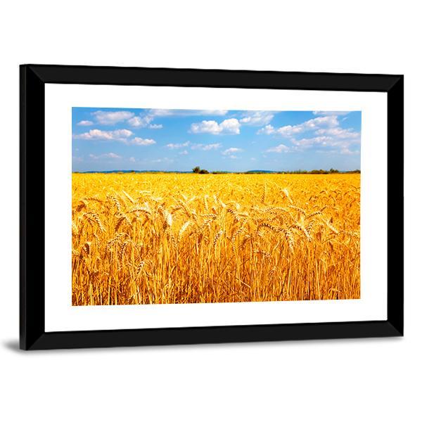 Wheat Ready For Harvest Canvas Wall Art-3 Horizontal-Gallery Wrap-25" x 16"-Tiaracle