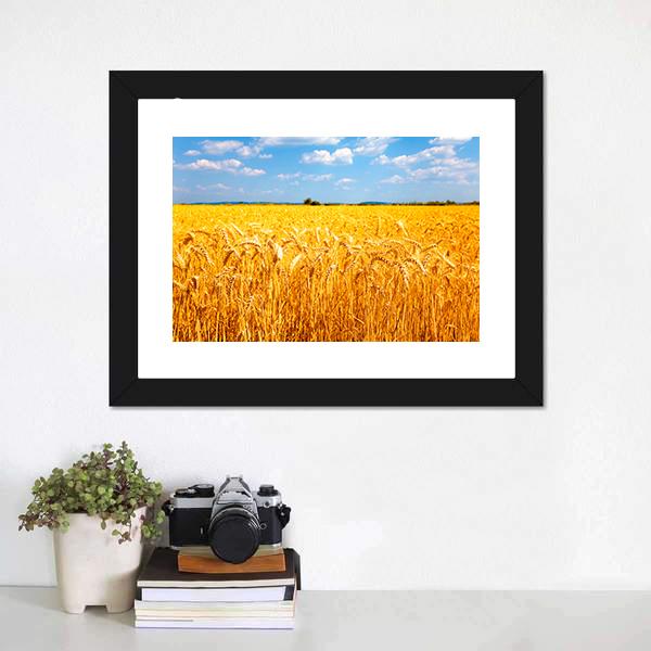 Wheat Ready For Harvest Canvas Wall Art-1 Piece-Framed Print-20" x 16"-Tiaracle