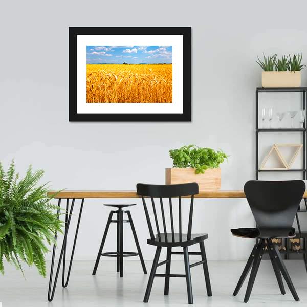 Wheat Ready For Harvest Canvas Wall Art-3 Horizontal-Gallery Wrap-25" x 16"-Tiaracle