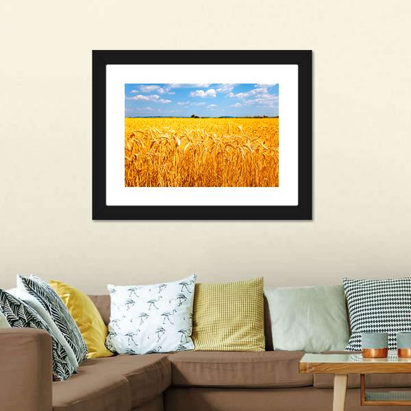 Wheat Ready For Harvest Canvas Wall Art-3 Horizontal-Gallery Wrap-25" x 16"-Tiaracle