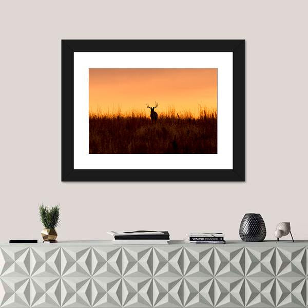 Whitetail Buck In The Sunrise Canvas Wall Art-1 Piece-Framed Print-20" x 16"-Tiaracle