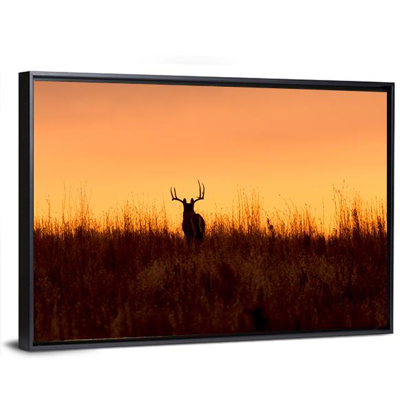 Whitetail Buck In The Sunrise Canvas Wall Art-3 Horizontal-Gallery Wrap-25" x 16"-Tiaracle