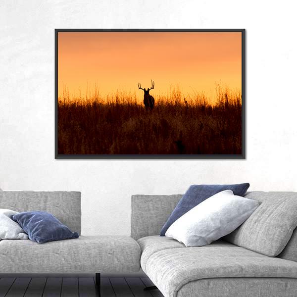 Whitetail Buck In The Sunrise Canvas Wall Art-3 Horizontal-Gallery Wrap-25" x 16"-Tiaracle