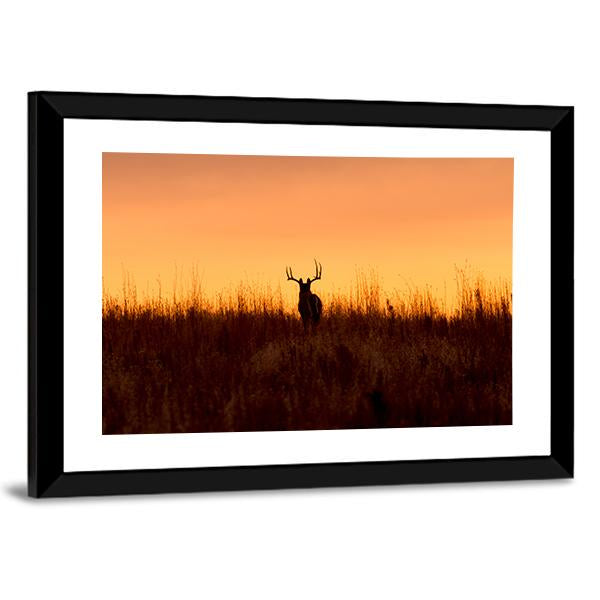 Whitetail Buck In The Sunrise Canvas Wall Art-3 Horizontal-Gallery Wrap-25" x 16"-Tiaracle