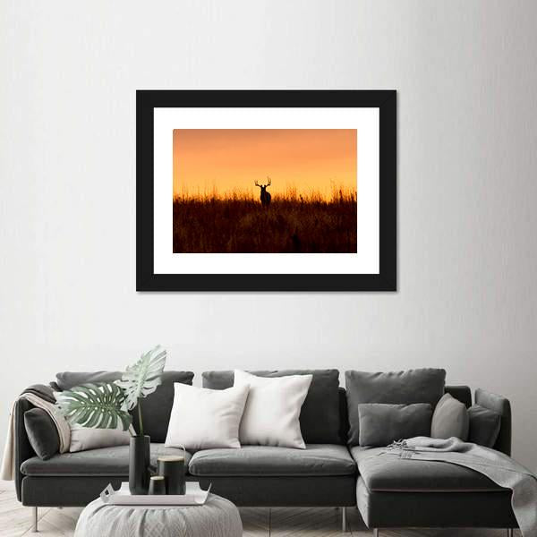 Whitetail Buck In The Sunrise Canvas Wall Art-3 Horizontal-Gallery Wrap-25" x 16"-Tiaracle