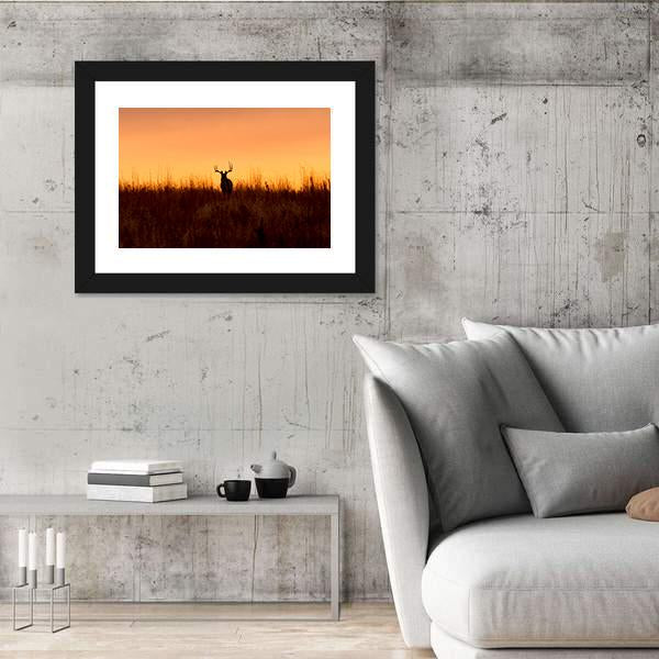 Whitetail Buck In The Sunrise Canvas Wall Art-3 Horizontal-Gallery Wrap-25" x 16"-Tiaracle