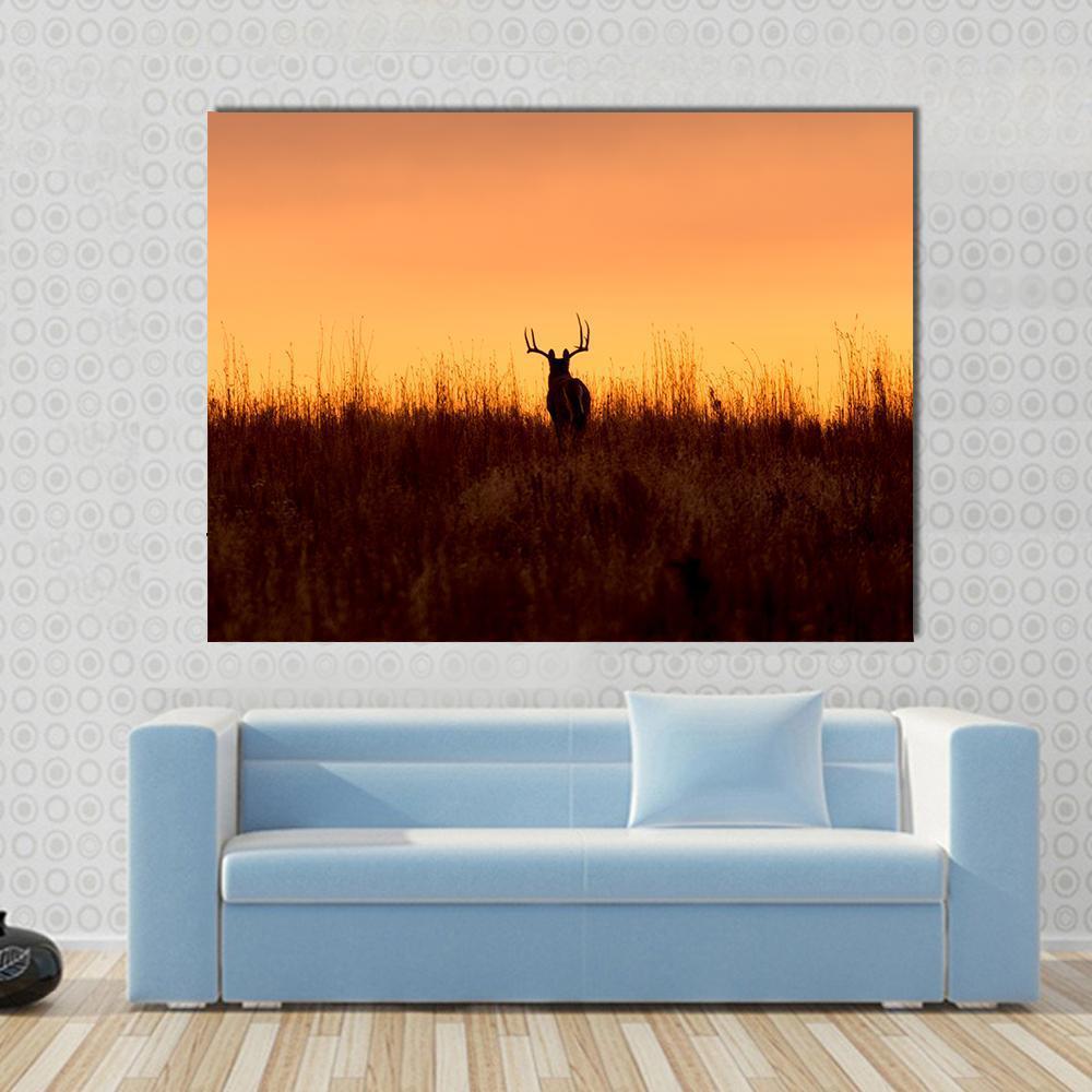 Whitetail Buck In The Sunrise Canvas Wall Art-1 Piece-Gallery Wrap-48" x 32"-Tiaracle