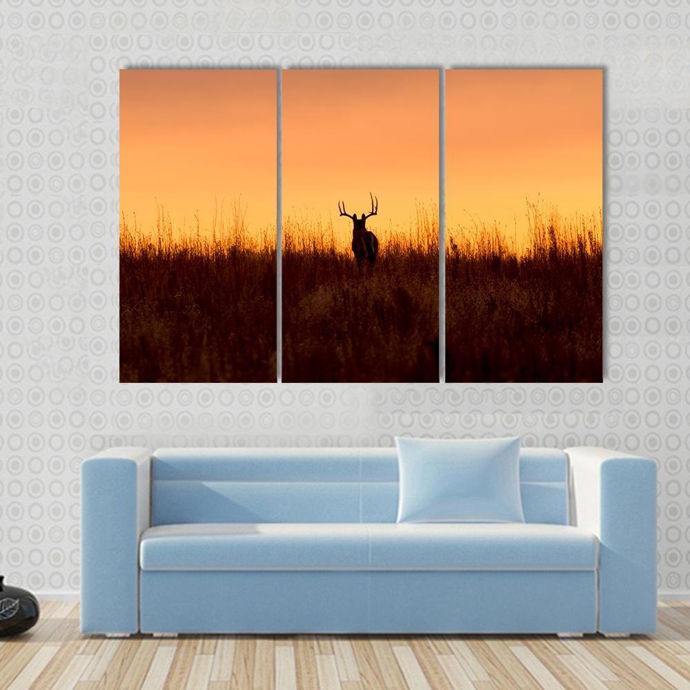 Whitetail Buck In The Sunrise Canvas Wall Art-3 Horizontal-Gallery Wrap-37" x 24"-Tiaracle