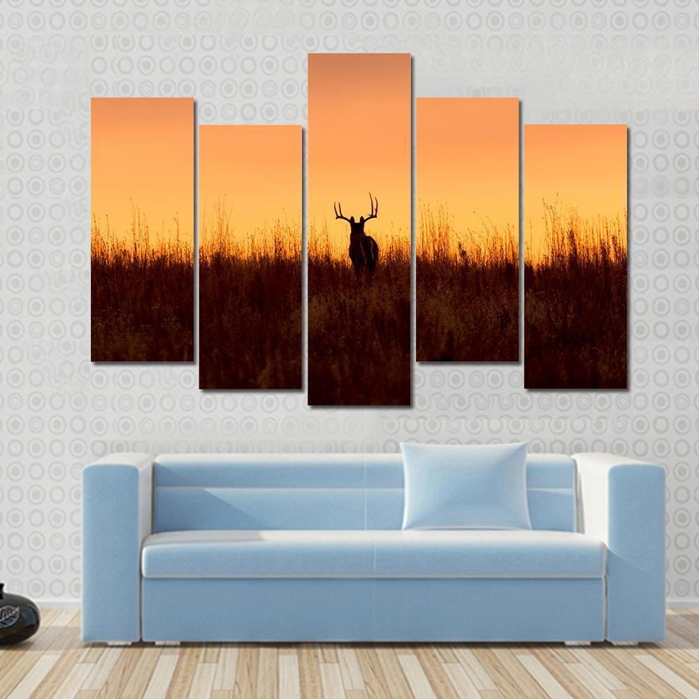 Whitetail Buck In The Sunrise Canvas Wall Art-5 Pop-Gallery Wrap-47" x 32"-Tiaracle