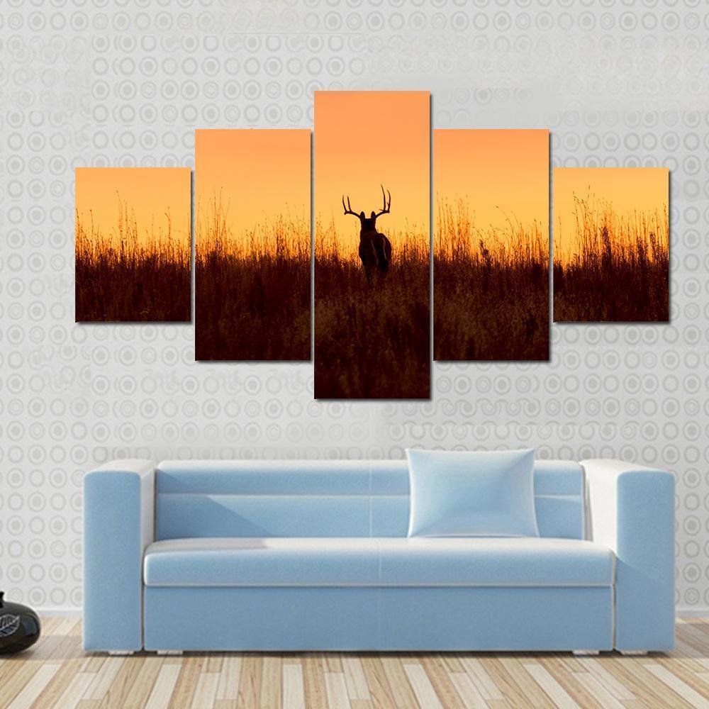 Whitetail Buck In The Sunrise Canvas Wall Art-5 Star-Gallery Wrap-62" x 32"-Tiaracle