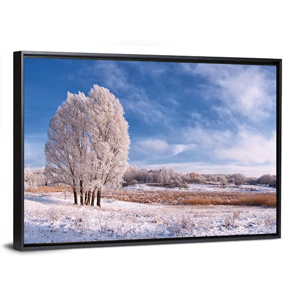 Winter Landscape With Frozen Tree In Field And Blue Sky With Clouds Canvas Wall Art-3 Horizontal-Gallery Wrap-25" x 16"-Tiaracle