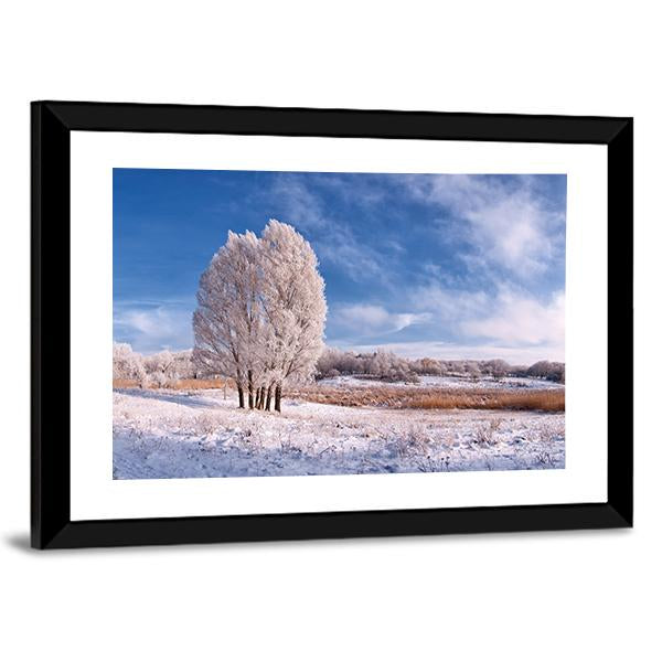 Winter Landscape With Frozen Tree In Field And Blue Sky With Clouds Canvas Wall Art-3 Horizontal-Gallery Wrap-25" x 16"-Tiaracle