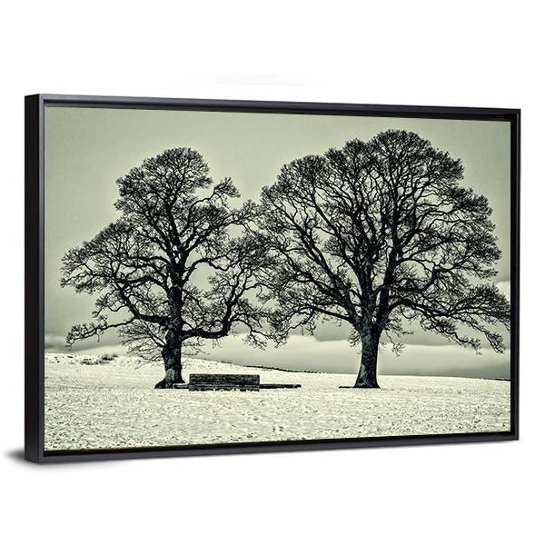 Winter Trees On Scottish Borders Canvas Wall Art-3 Horizontal-Gallery Wrap-25" x 16"-Tiaracle