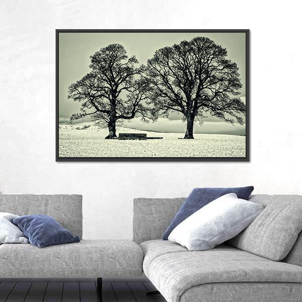 Winter Trees On Scottish Borders Canvas Wall Art-3 Horizontal-Gallery Wrap-25" x 16"-Tiaracle