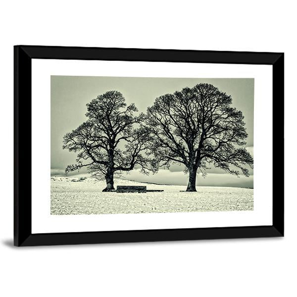 Winter Trees On Scottish Borders Canvas Wall Art-3 Horizontal-Gallery Wrap-25" x 16"-Tiaracle