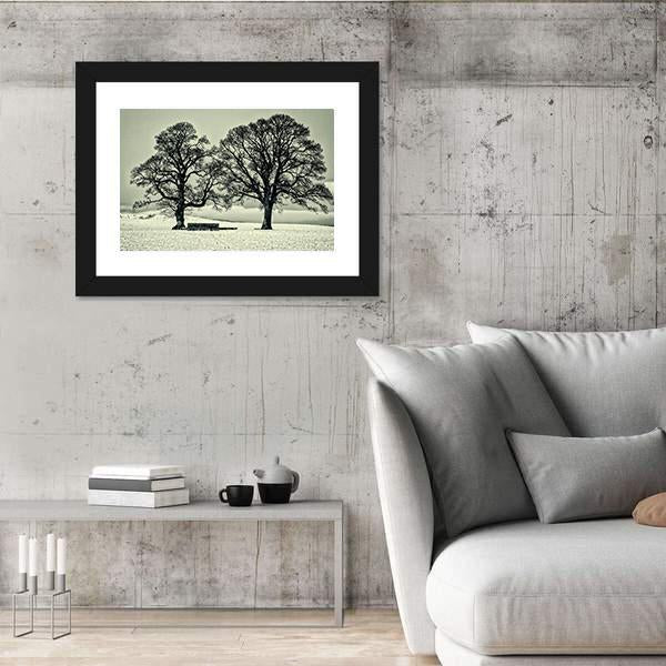 Winter Trees On Scottish Borders Canvas Wall Art-3 Horizontal-Gallery Wrap-25" x 16"-Tiaracle