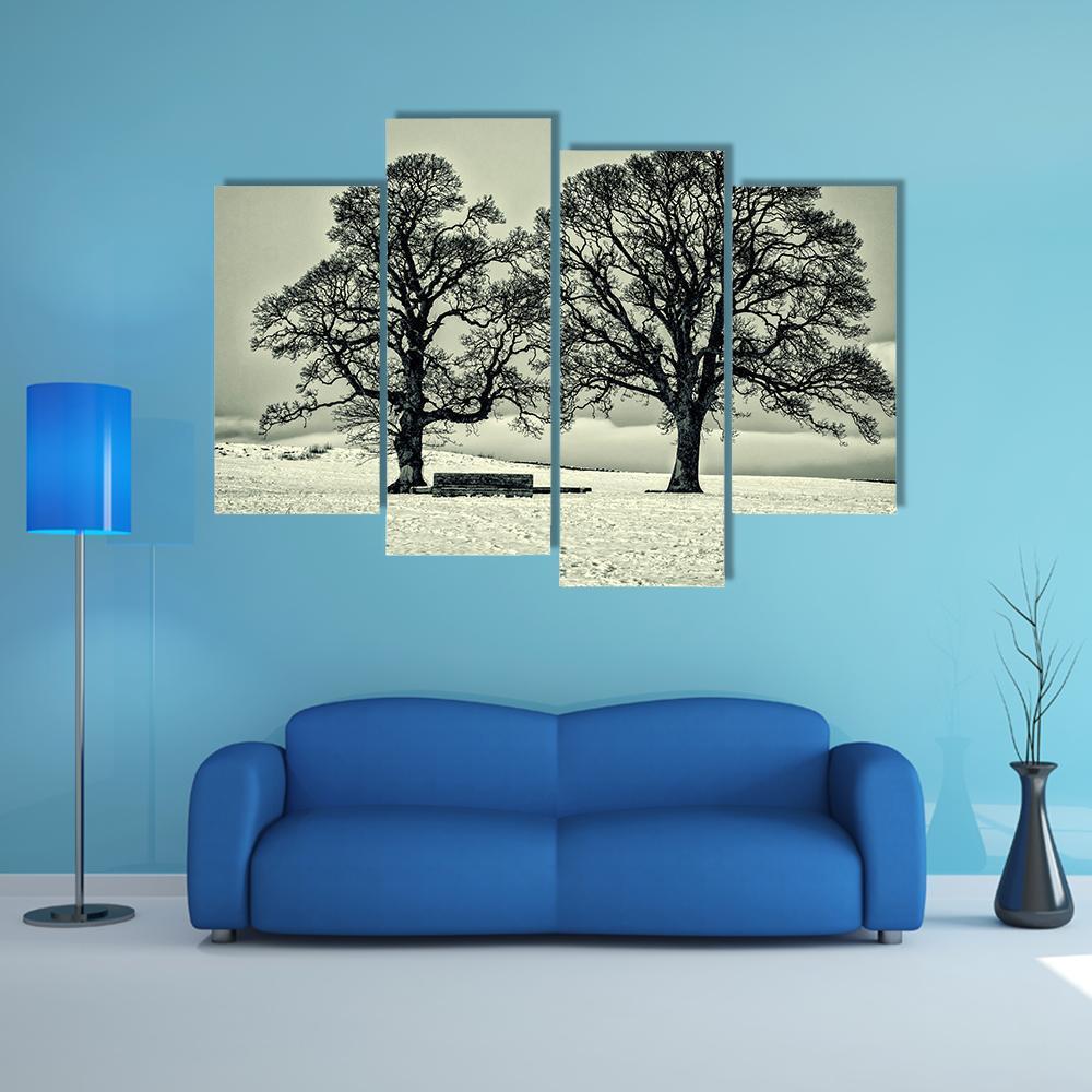 Winter Trees On Scottish Borders Canvas Wall Art-4 Pop-Gallery Wrap-50" x 32"-Tiaracle