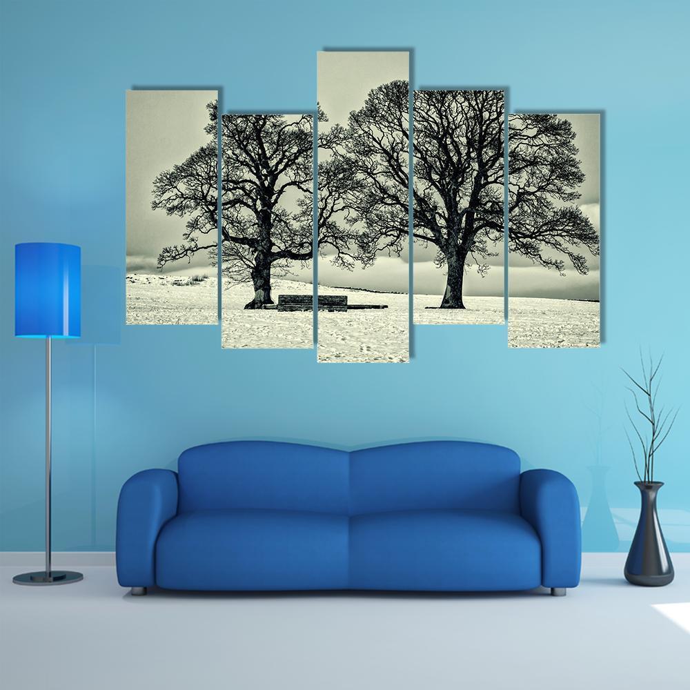 Winter Trees On Scottish Borders Canvas Wall Art-5 Pop-Gallery Wrap-47" x 32"-Tiaracle